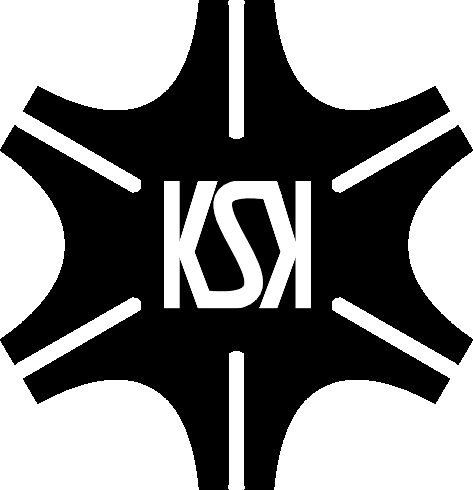 کارا صنعت سازان نوین